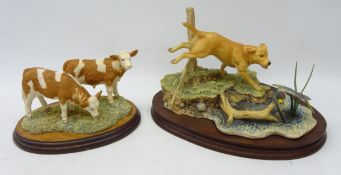 Border Fine Arts 'a pair of simmental calves' and a limited edition model of a dog chasing a duck,