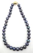 Single strand graduating large blue/grey pearls with 9ct gold clasp stamped 375 Condition