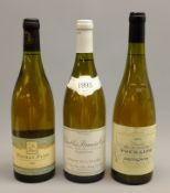 Mixed White Wines - Chablis Premier Cru Domaine De La Pauliere 1995,