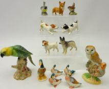 Beswick models; Parakeet no.