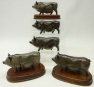 Five Royal Doulton 'Vietnamese Pot Belly Pigs',