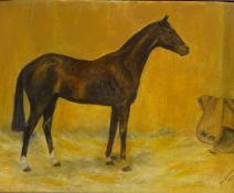 'Brettony' portrait of a brown mare (foaled 1936 property of Herbert Megginson),