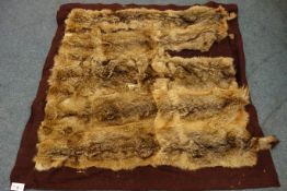 Taxidermy - Fur skin rug, probably Jackal, circa 1940,