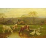 William Henderson of Whitby (British 1844-1904): Short Horn Cows watering with Geese at Goathland,