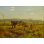 William Henderson of Whitby (British 1844-1904): 'A Rough Pasture' Donkeys in Gale Fields looking