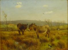 William Henderson of Whitby (British 1844-1904): 'A Rough Pasture' Donkeys in Gale Fields looking