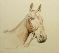 Lawrence Klonaris (Late 20th century): Horse's Head study,