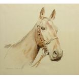 Lawrence Klonaris (Late 20th century): Horse's Head study,