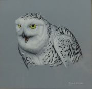Robert E Fuller (British 1972-): 'Snowy Owl', watercolour signed and dated 1997,