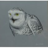 Robert E Fuller (British 1972-): 'Snowy Owl', watercolour signed and dated 1997,