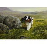 Spaniel Carrying a Grouse,