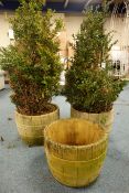Three composite stone circular planters, half barrel style, with two shrubs,