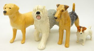 Three Beswick dogs; 'Airedele Terrier', 'Cast iron Monarch',