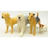 Three Beswick dogs; 'Airedele Terrier', 'Cast iron Monarch',
