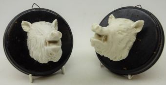 Pair white porcelain boar heads, mounted on ebonised circular plaques, D11.