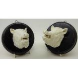 Pair white porcelain boar heads, mounted on ebonised circular plaques, D11.