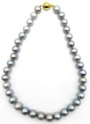 Single strand graduating large silver/light blue pearls with 9ct gold clasp stamped 375