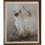 S BUSBEE Portrait of a ragdoll cat Oil on canvas Signed Together with a pastel portrait