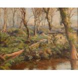 DENYS LAW Lamorna Woods Oil on board Signed 40 x 51cm Condition report: Dirty
