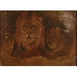 English provincial school Lion and lioness Oil on canvas 30 x 40cm