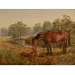 BRIAN TOVEY Mare and Foal Oil on canvas Signed Inscribed to the back 45 x 60cm