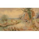W H DURHAM Cattle on the banks of a river Watercolour Signed and dated 1916 29 x 49cm