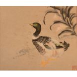 Chinese School Mallard Duck Watercolour Signed with a red seal 30 x 35cm