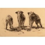 LEONARD ROBERT BRIGHTWELL Kings in Exile (Circus Elephants) Etching Signed and inscribed 23x