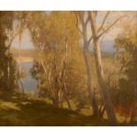 Modern British School The Sea Glimpsed Through Trees Oil on canvas Indistinctly monogrammed