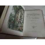 RICHARD DOYLE. "In Fairyland, A Series of Pictures from the Elf-World.