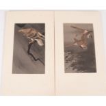 A pair of Japanese watercolours, signed with character and seal mark,