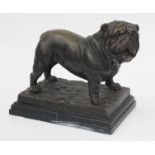 A bronze model of a bulldog, on a stepped marble base, height 23cm, width 26.3cm, depth 18cm.