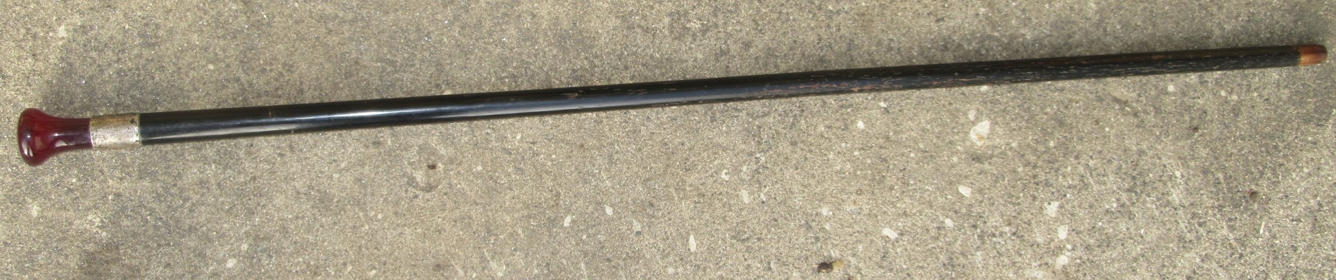 A silver banded walking cane, with amber finial, an insect within, height 91.5cm.