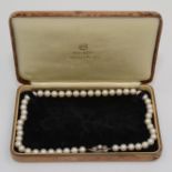 A good string of Mikimoto cultured pearls, the pearl mounted silver clasp with Mikimoto trademark,