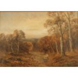 Sidney Yates JOHNSON View in the New Forrest Oil on canvas Monogrammed 24 x 35cm