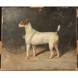 Vaughan DAVIS Portrait of 'Viking' the terrier Oil on canvas Signed,