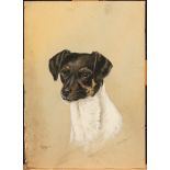 S RIPLEY Portrait of Gyp the terrier Gouache Signed Together with a study of a Dutch woman,