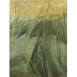 Richard PLATT Cornfield Oil on canvas Signed and dated '56 102 x 76cm Condition report: