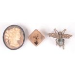 A bumblebee brooch, one other brooch and a cameo.
