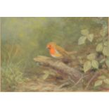 Two watercolours by G.M. Henry, 'Ducks Swimming' and 'Robin on a Branch', each 16 x 23cm.