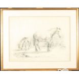 An early 19th century pencil study by a follower of Herring, 'A Horse and Donkeys',