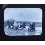 A collection of 63 annotated photographic magic lantern slides,