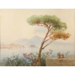 Salvatore PETRUOLO Vesuvius Watercolour Signed 28 x 36cm and Villa Rosesberg Watercolour Signed