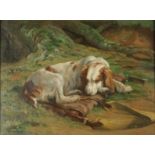 John Murray THOMSON Gun Dog Resting Oil on canvas Signed 46 x 60cm Condition report: