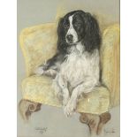 Marjorie COX Sally the spaniel Pastel Signed, inscribed and dated 1971 48.