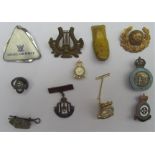 Miscellaneous badges including Royal Observer Corps enamel lapel badge.