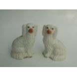 A pair of Victorian pottery Staffordshire spaniels, height 12cm, width 15cm.