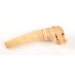 An ivory walking stick handle, 19th century, carved in the form of a dog's head, length 12.