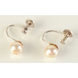 A pair of pearl silver mounted screw in earrings in K Mikimoto Regent Street box.