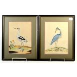 A pair of oriental watercolours of exotic birds, each with red seal marks, framed and glazed,